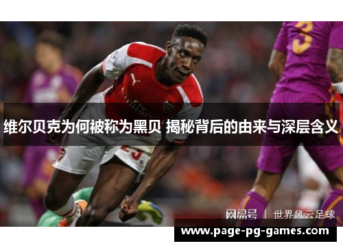 维尔贝克为何被称为黑贝 揭秘背后的由来与深层含义