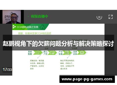 赵鹏视角下的欠薪问题分析与解决策略探讨